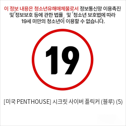 [미국 PENTHOUSE] 시크릿 사이버 플릭커 (블루) (5)