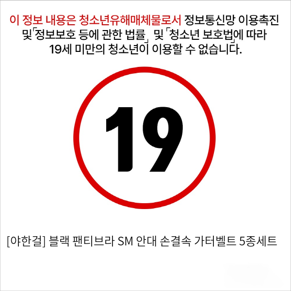 [야한걸] 블랙 팬티브라 SM 안대 손결속 가터벨트 5종세트